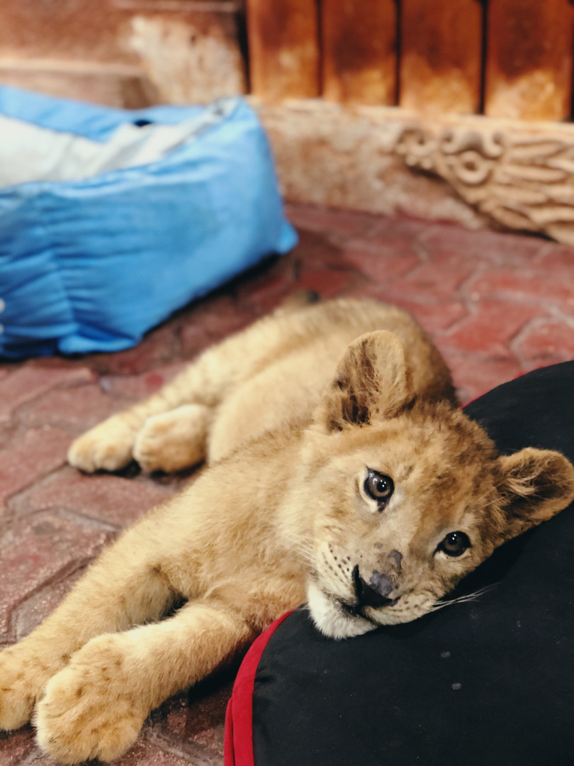 Photo by annabananas published on November 20,2023 23:11:25 - BestThots