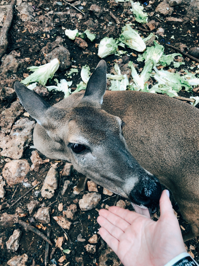 Photo by annabananas published on November 20,2023 23:11:57 - BestThots