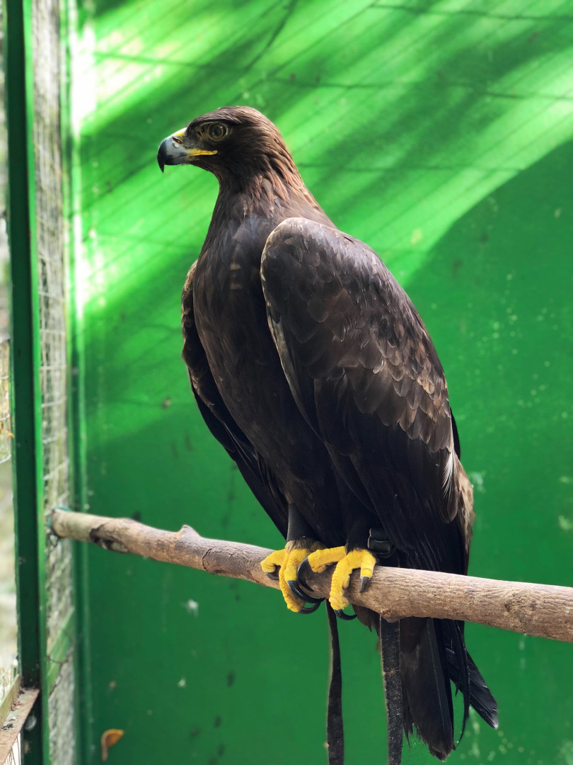 Photo by annabananas published on November 20,2023 23:12:41 - BestThots