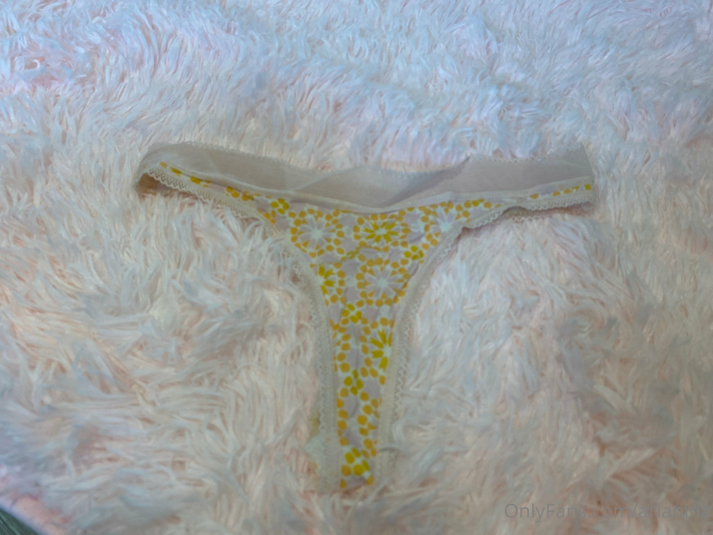 Photo by arianina published on November 23,2023 16:45:52 - BestThots