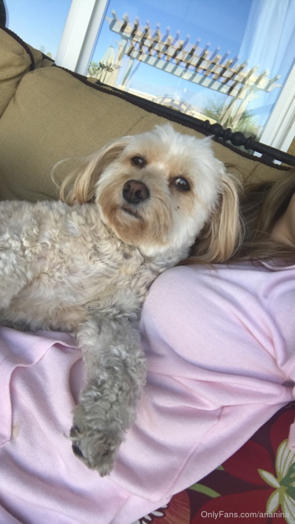 Photo by arianina published on November 23,2023 16:47:30 - BestThots