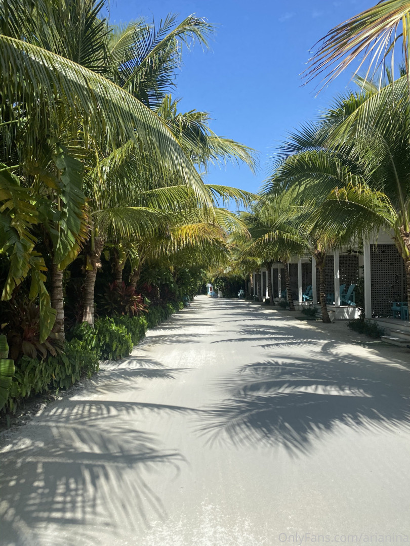 Photo by arianina published on November 23,2023 16:48:52 - BestThots