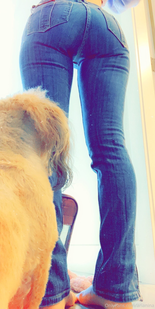 Photo by arianina published on November 23,2023 16:49:51 - BestThots