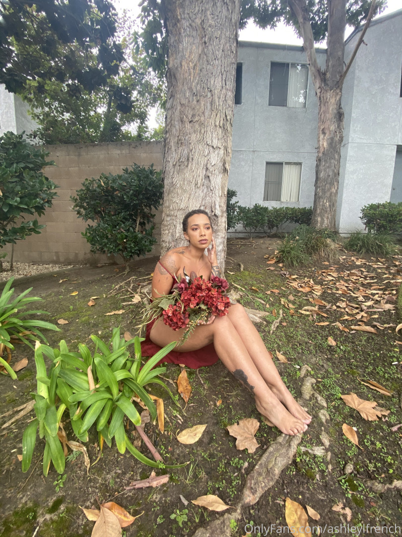 Photo by ashleylfrench published on November 23,2023 13:39:27 - BestThots