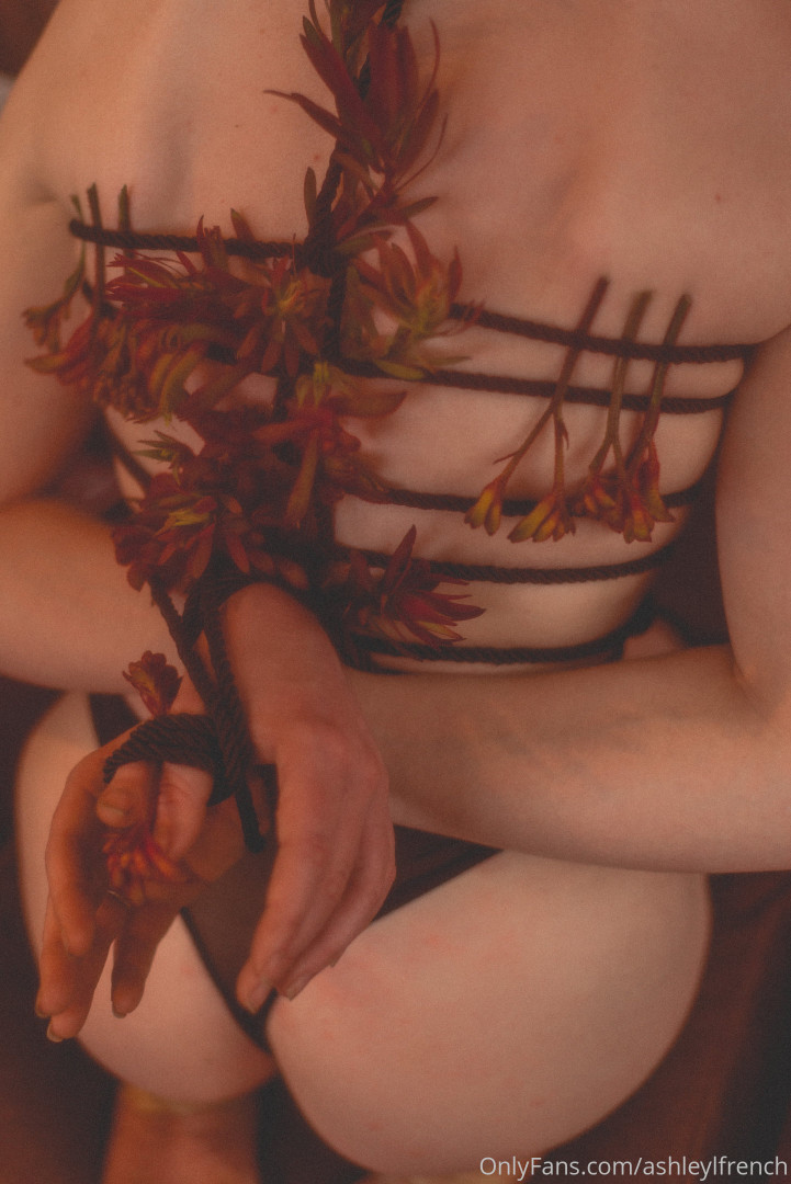 Photo by ashleylfrench published on November 23,2023 13:40:43 - BestThots