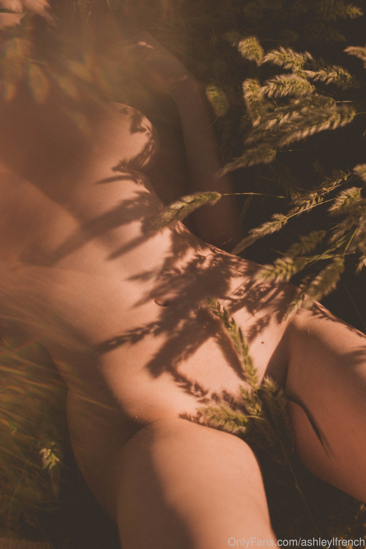 Photo by ashleylfrench published on November 23,2023 13:40:54 - BestThots