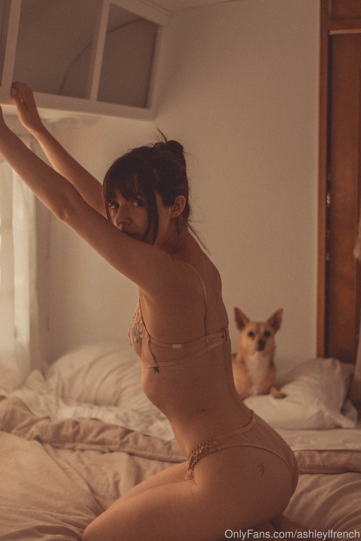 Photo by ashleylfrench published on November 23,2023 13:41:21 - BestThots