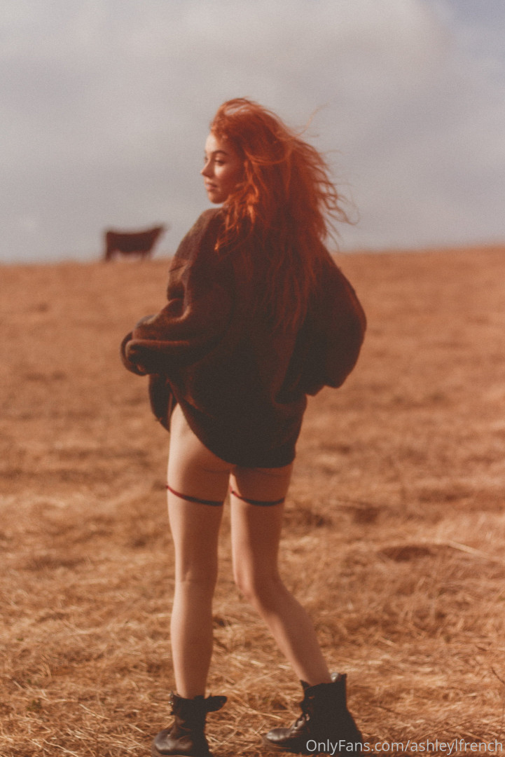 Photo by ashleylfrench published on November 23,2023 13:41:50 - BestThots