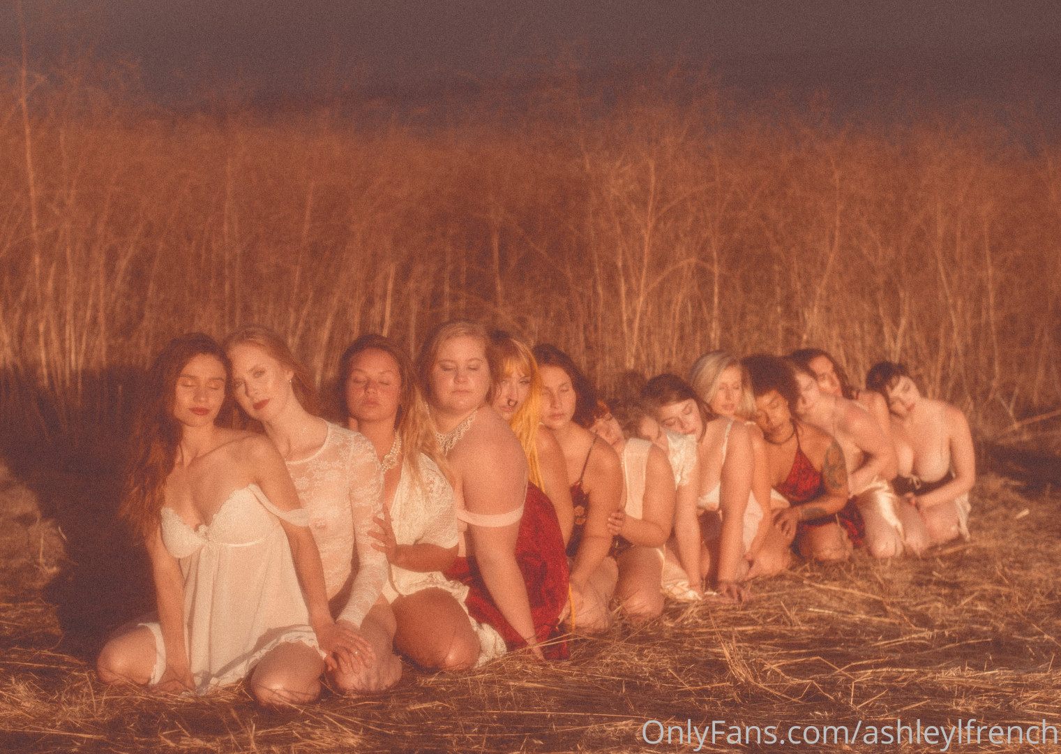 Photo by ashleylfrench published on November 23,2023 13:42:01 - BestThots