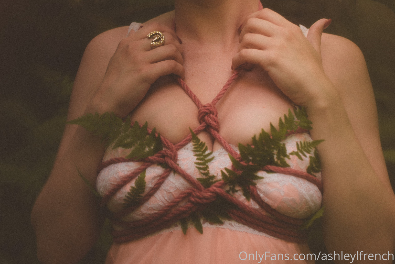 Photo by ashleylfrench published on November 23,2023 13:42:27 - BestThots