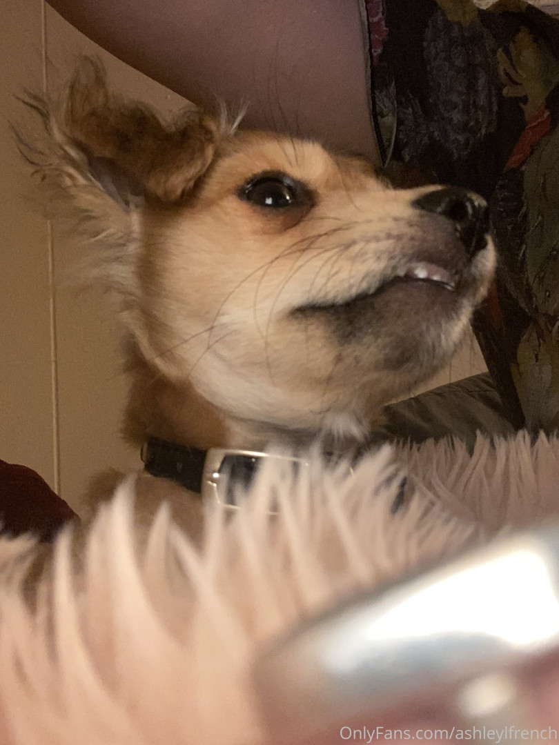 Photo by ashleylfrench published on November 23,2023 13:45:49 - BestThots