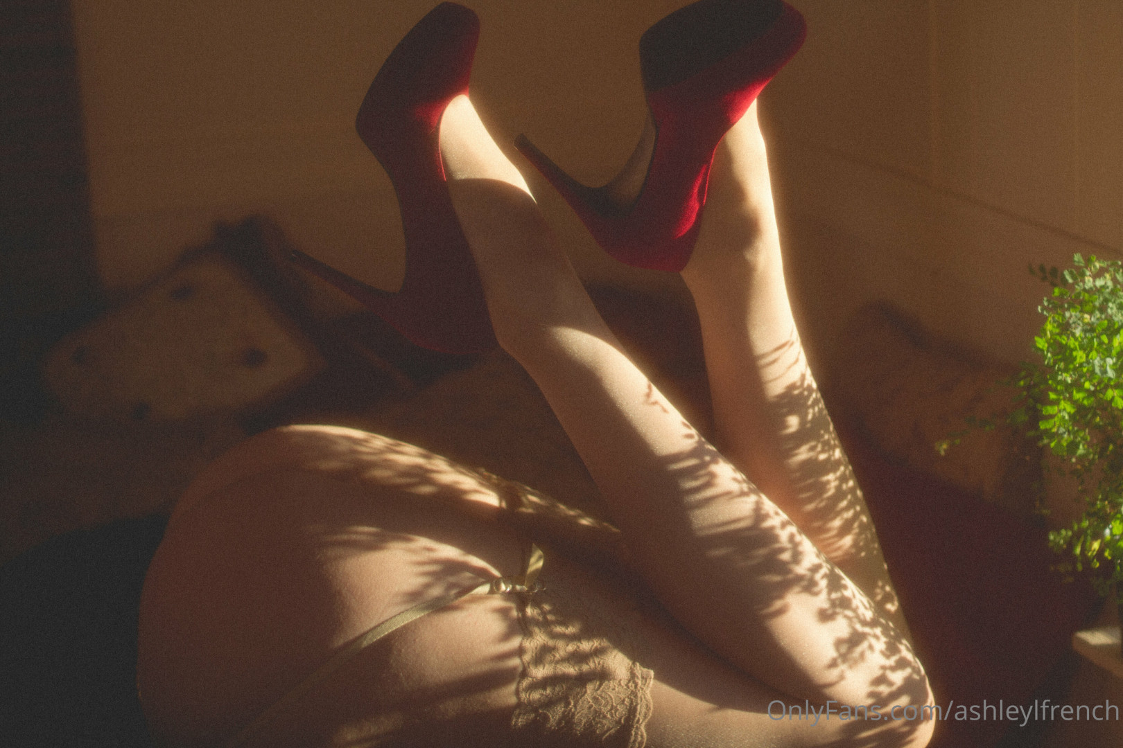 Photo by ashleylfrench published on November 23,2023 13:48:28 - BestThots