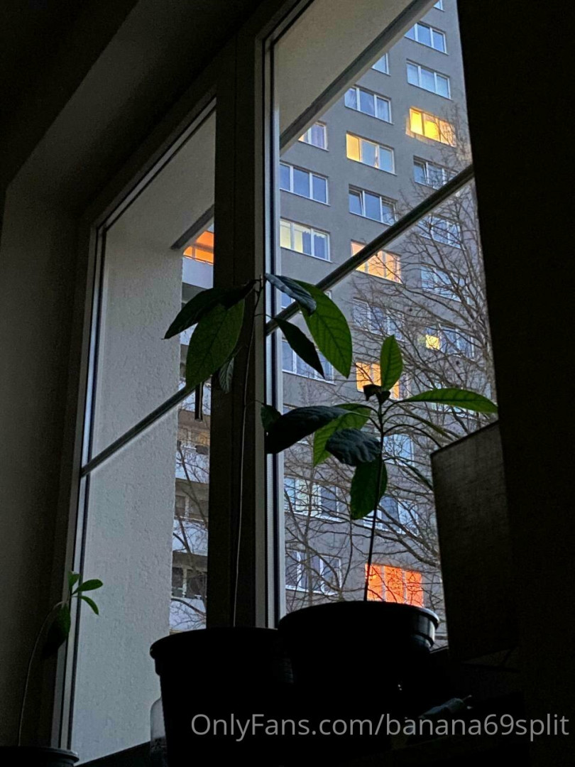 Photo by banana69split published on November 28,2023 19:08:00 - BestThots