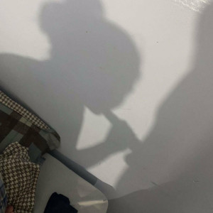 dabofhalo #2536027