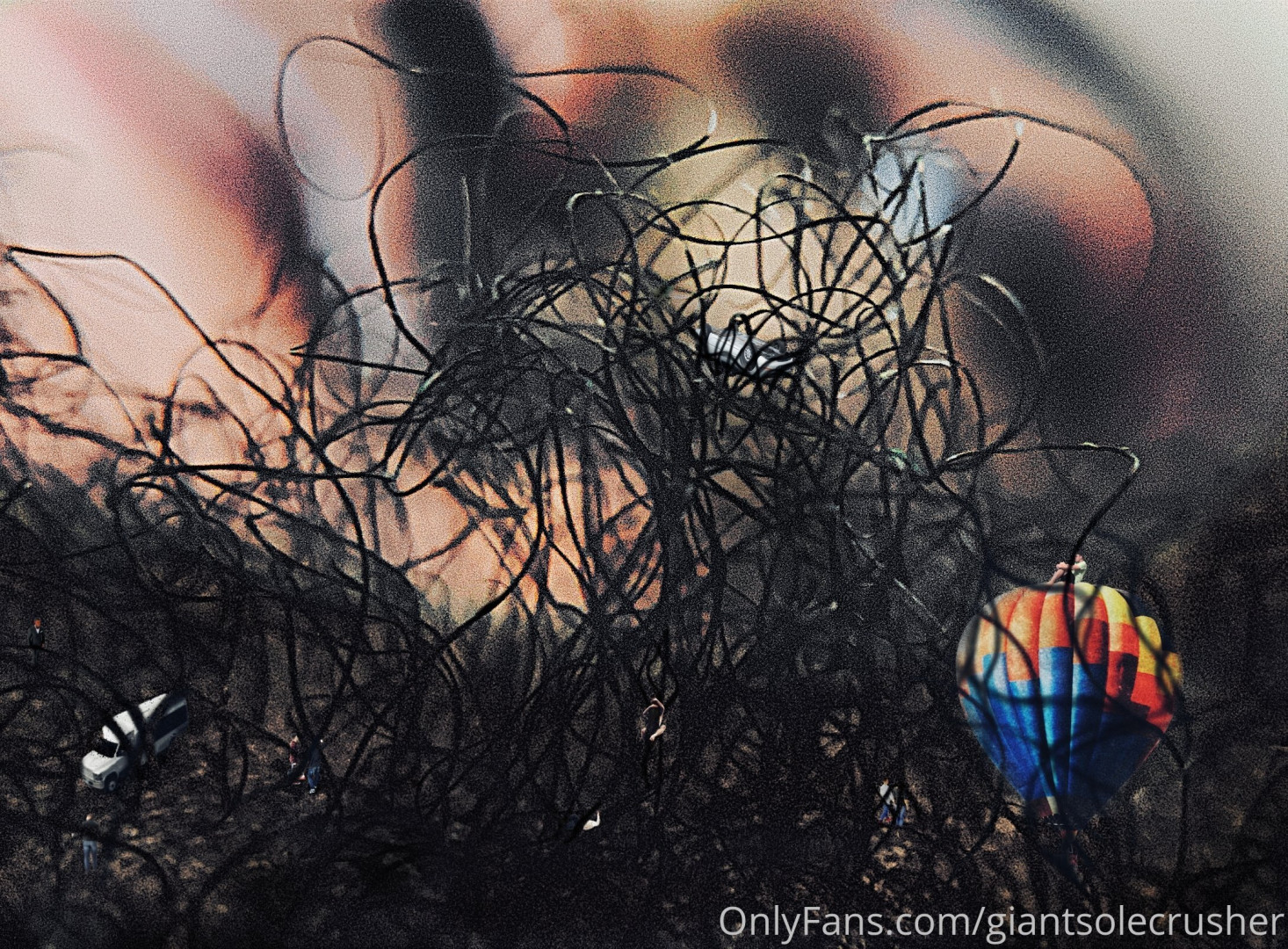 Photo by giantsolecrusher published on February 13,2024 00:28:05 - BestThots