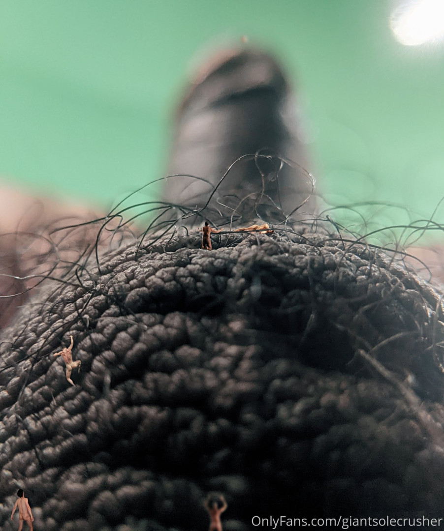 Photo by giantsolecrusher published on February 13,2024 00:28:08 - BestThots