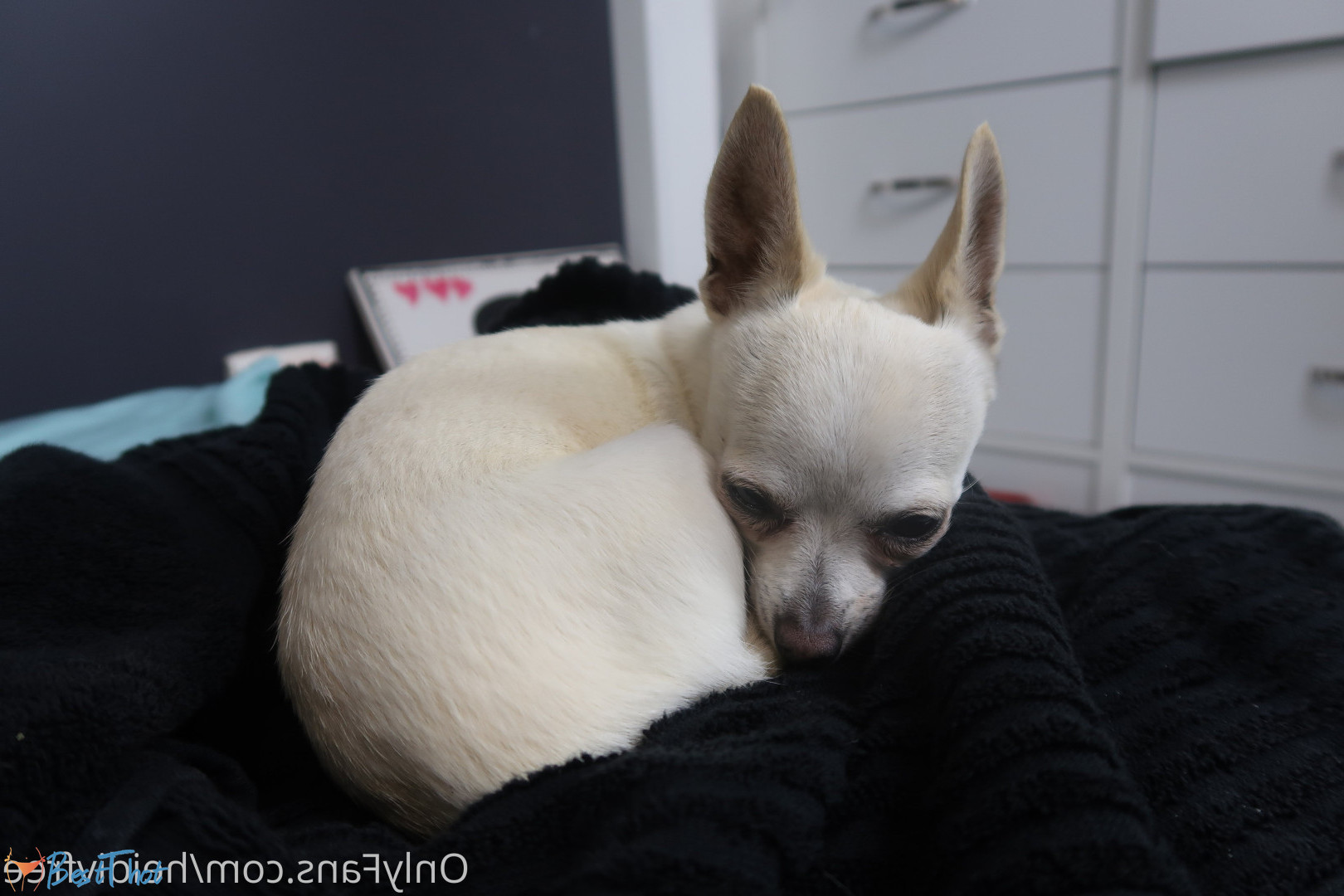 Photo by heidivfree published on December 29,2024 08:13:04 - BestThots