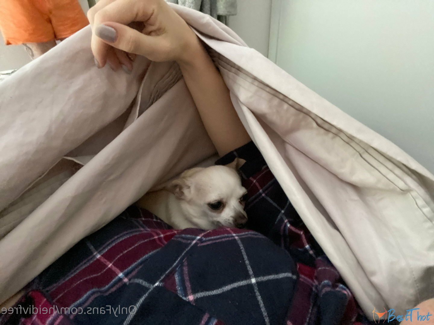 Photo by heidivfree published on December 29,2024 08:14:54 - BestThots