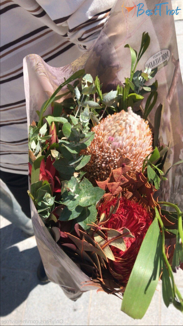 Photo by heidivfree published on December 29,2024 10:15:07 - BestThots