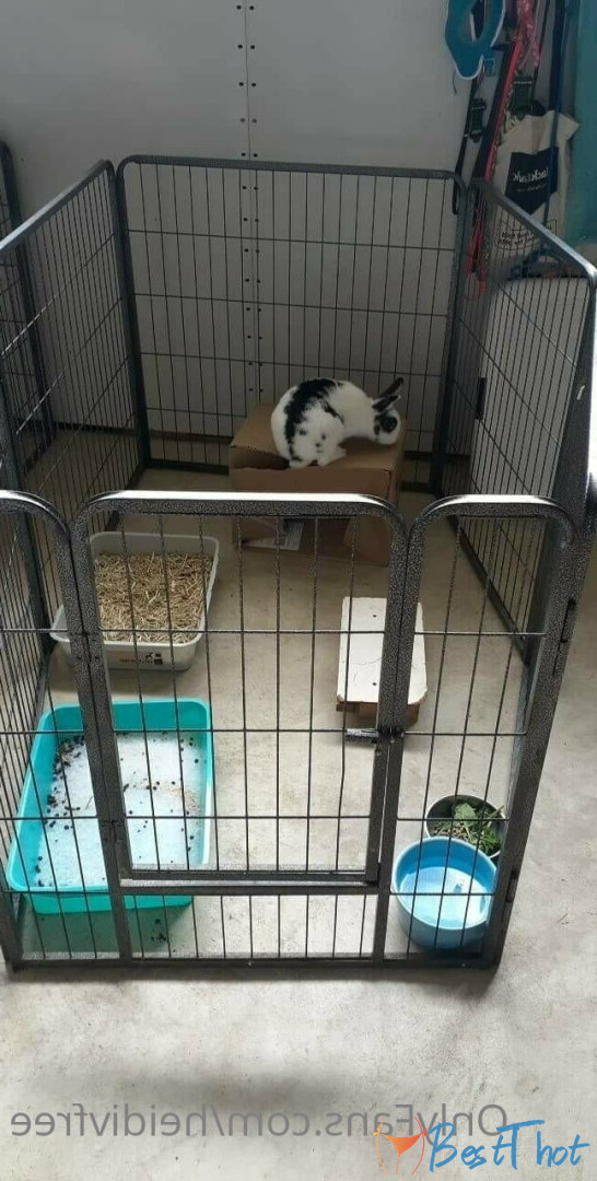 Photo by heidivfree published on December 29,2024 11:13:20 - BestThots