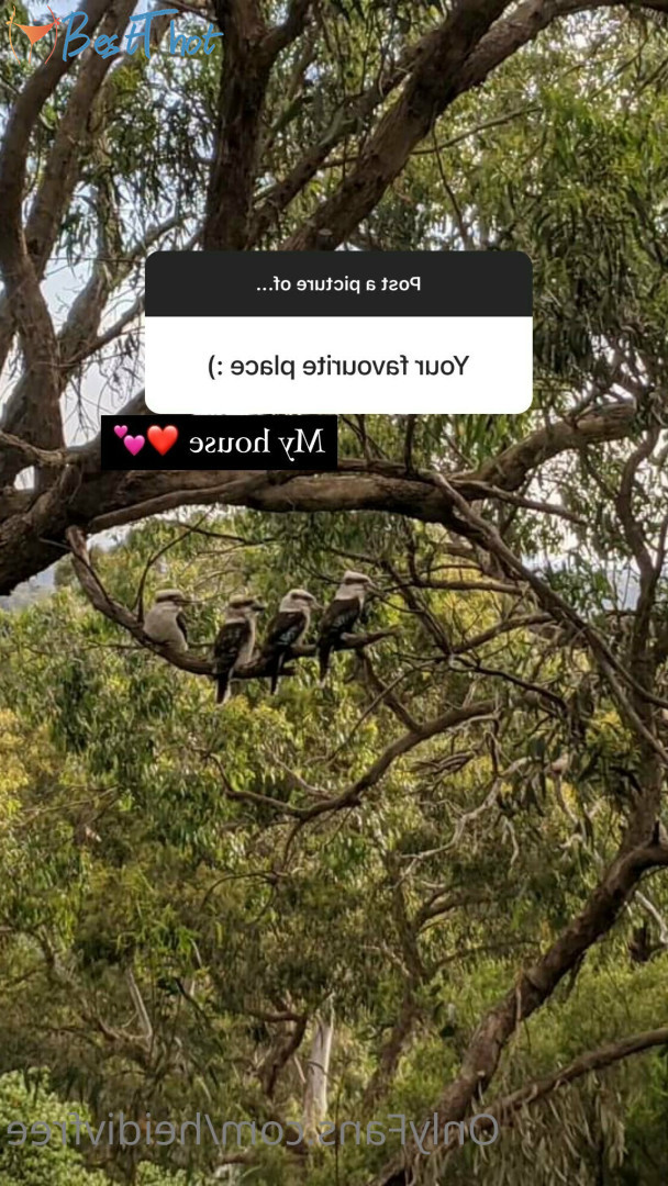 Photo by heidivfree published on December 29,2024 11:13:22 - BestThots