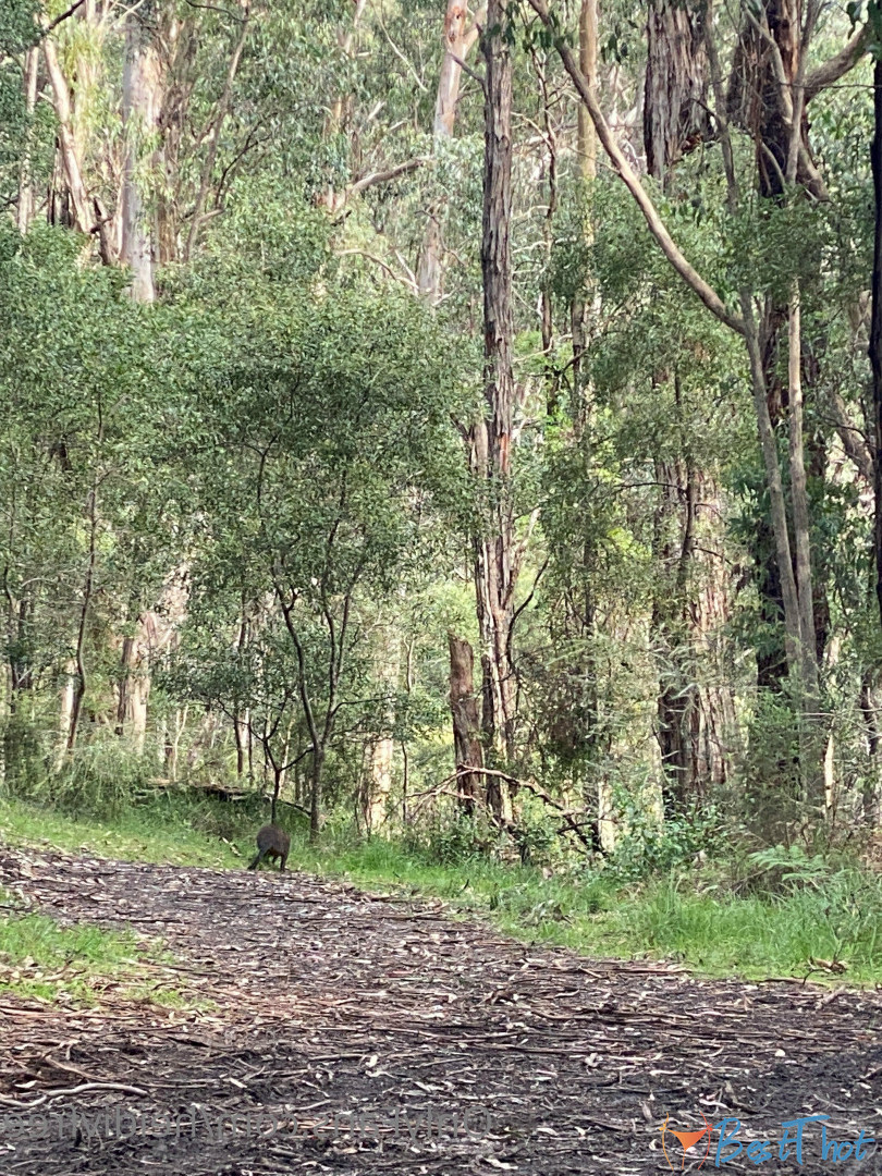 Photo by heidivfree published on December 29,2024 11:13:46 - BestThots