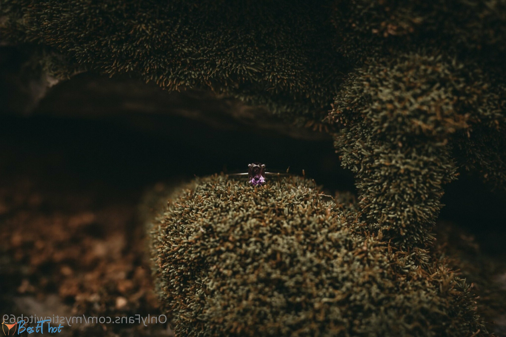 Photo by mysticwitch69 published on December 31,2024 08:15:22 - BestThots