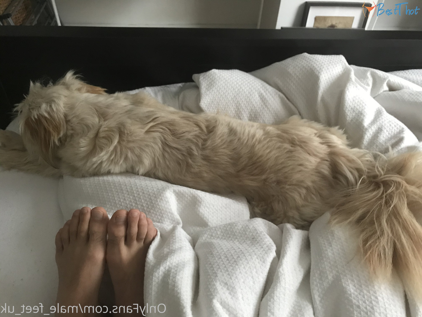 male_feet_uk #9609355