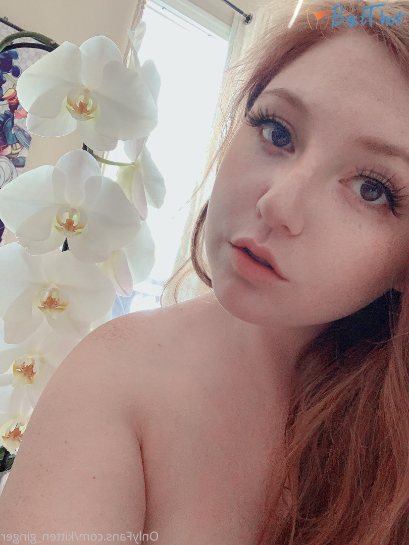 Photo by kittenginger published on January 11,2025 02:00:28 - BestThots