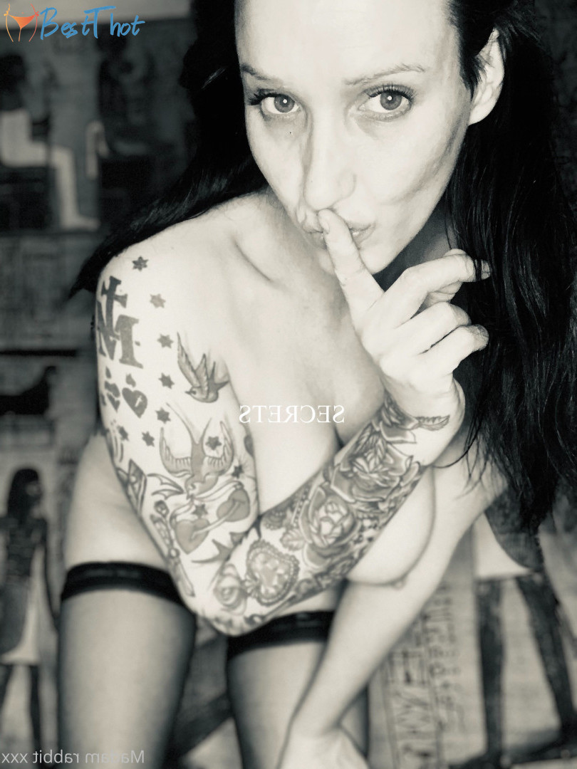 Photo by solocontent published on January 13,2025 04:01:40 - BestThots