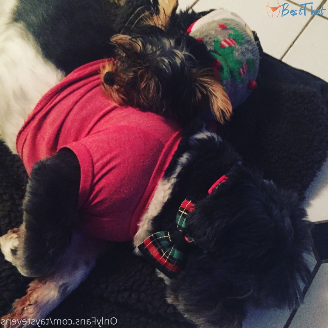 Photo by taystevens published on January 14,2025 03:00:34 - BestThots