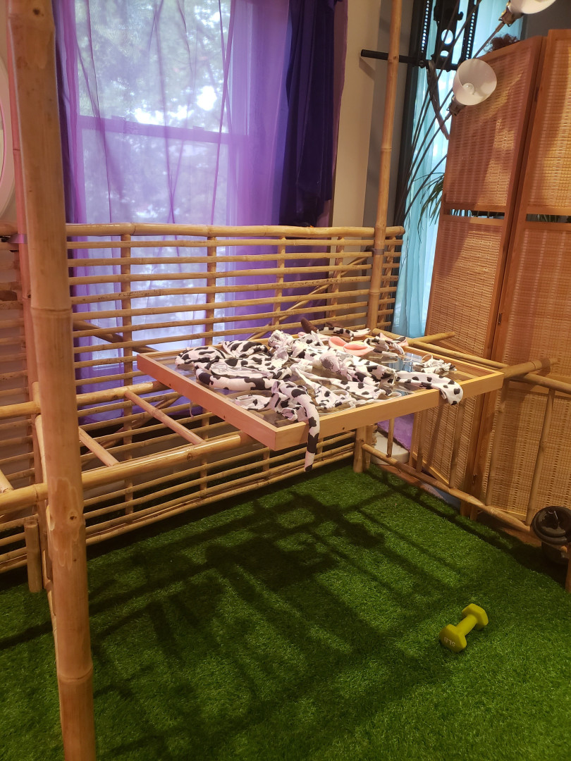 Photo by littlepuck published on October 16,2023 19:12:24 - BestThots