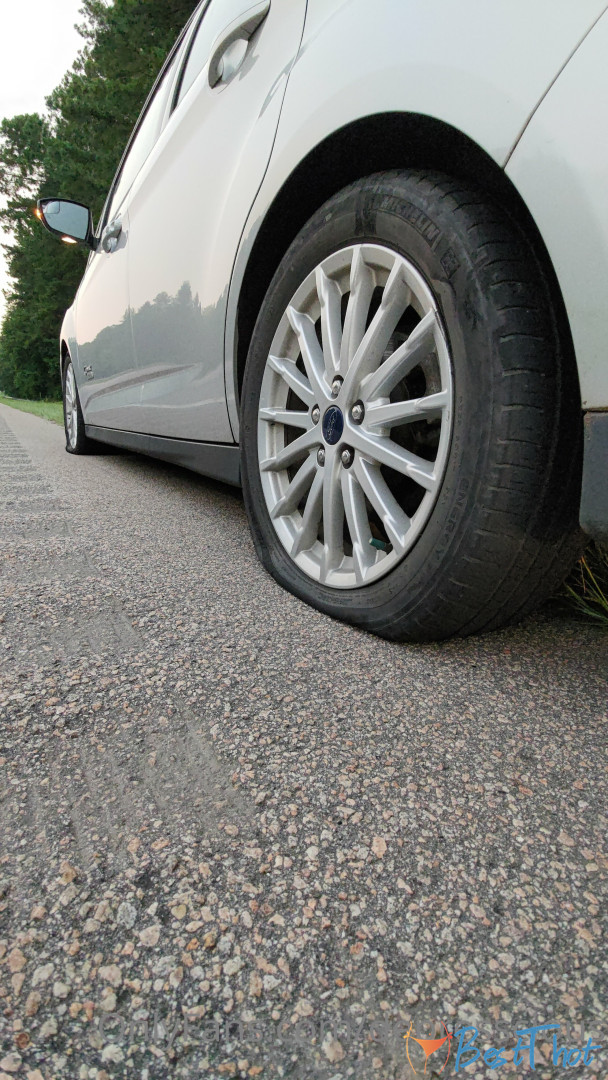 Photo by fernesgully published on January 20,2025 03:00:57 - BestThots