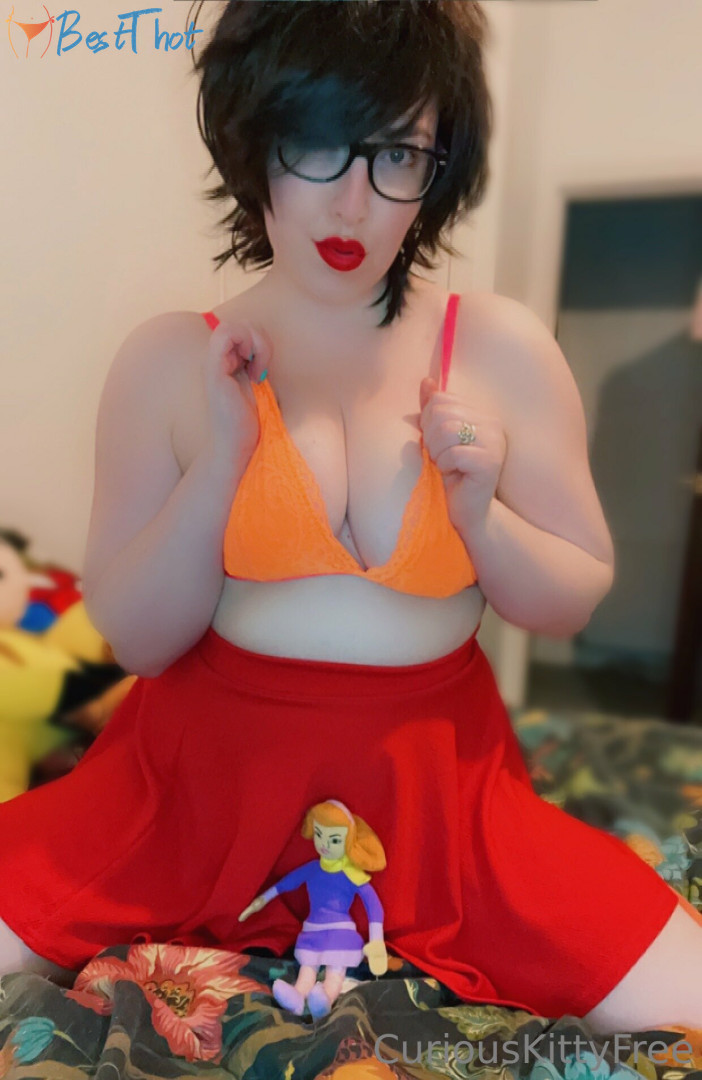 curiouskittypremium #9729254