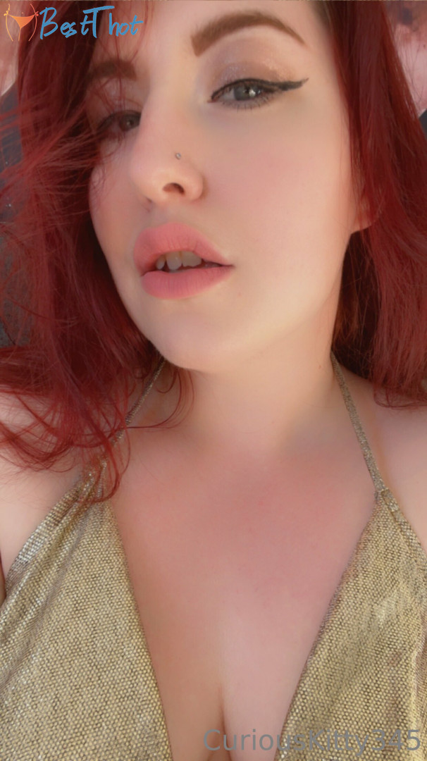 curiouskittypremium #9733224