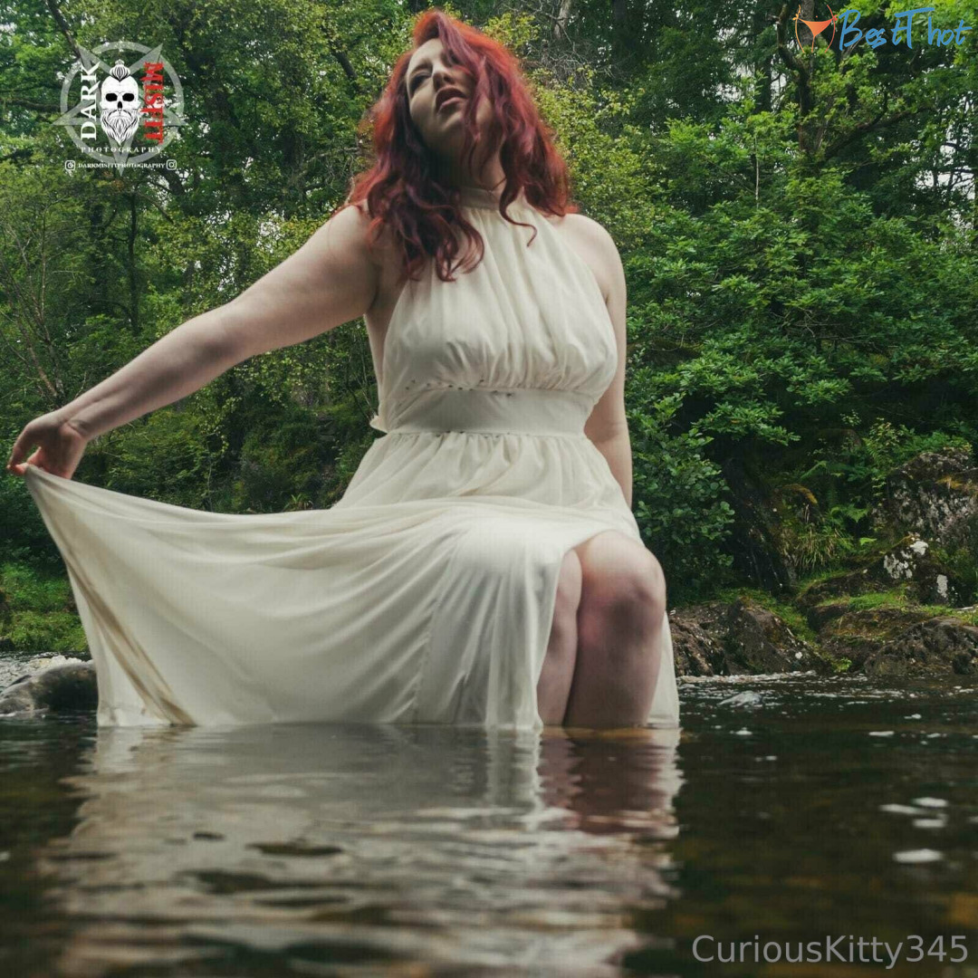 Photo by curiouskittypremium published on January 20,2025 03:00:10 - BestThots