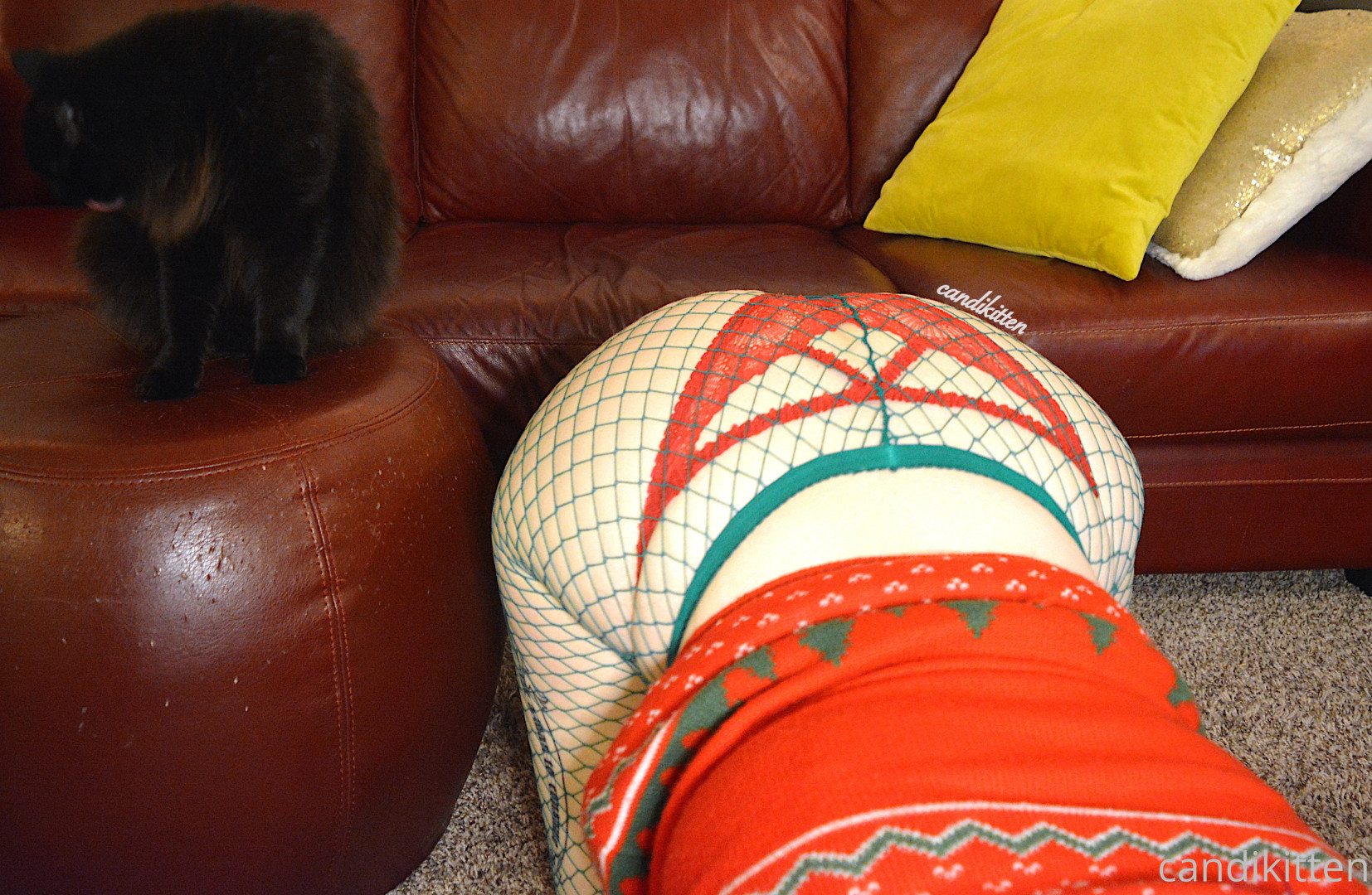 Photo by candikitten published on January 4,2024 13:06:57 - BestThots