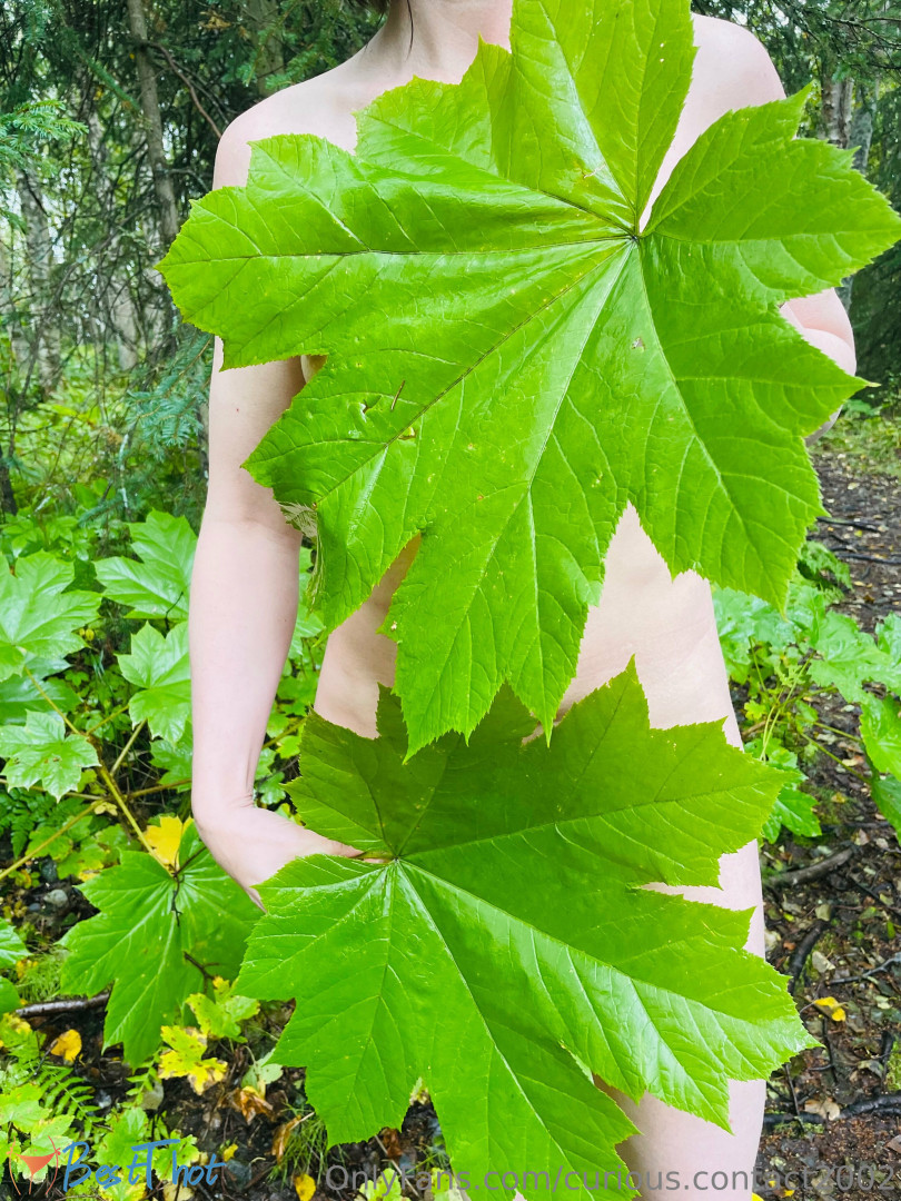 Photo by curious-contact2002 published on January 22,2025 14:01:32 - BestThots