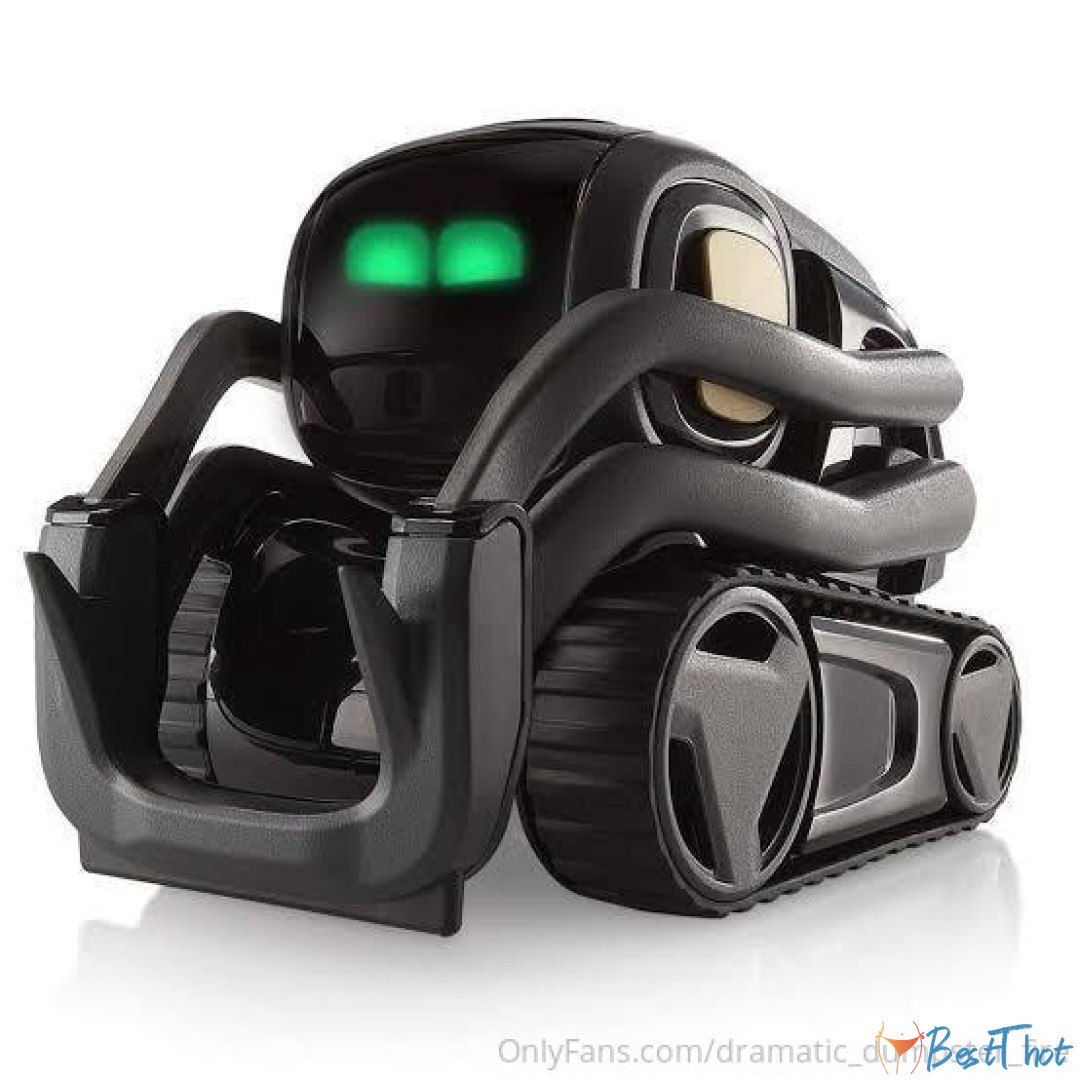 Photo by dramatic-dumpster-fire published on January 24,2025 12:00:29 - BestThots