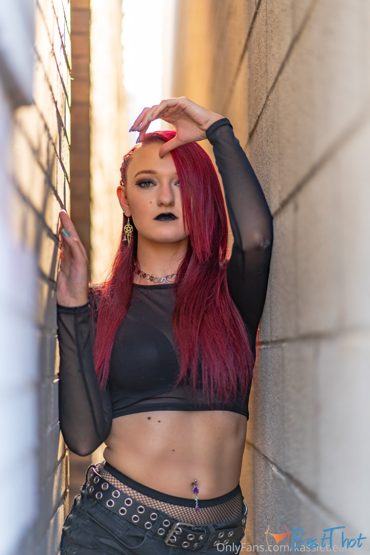 kassiebear-tv #9767133