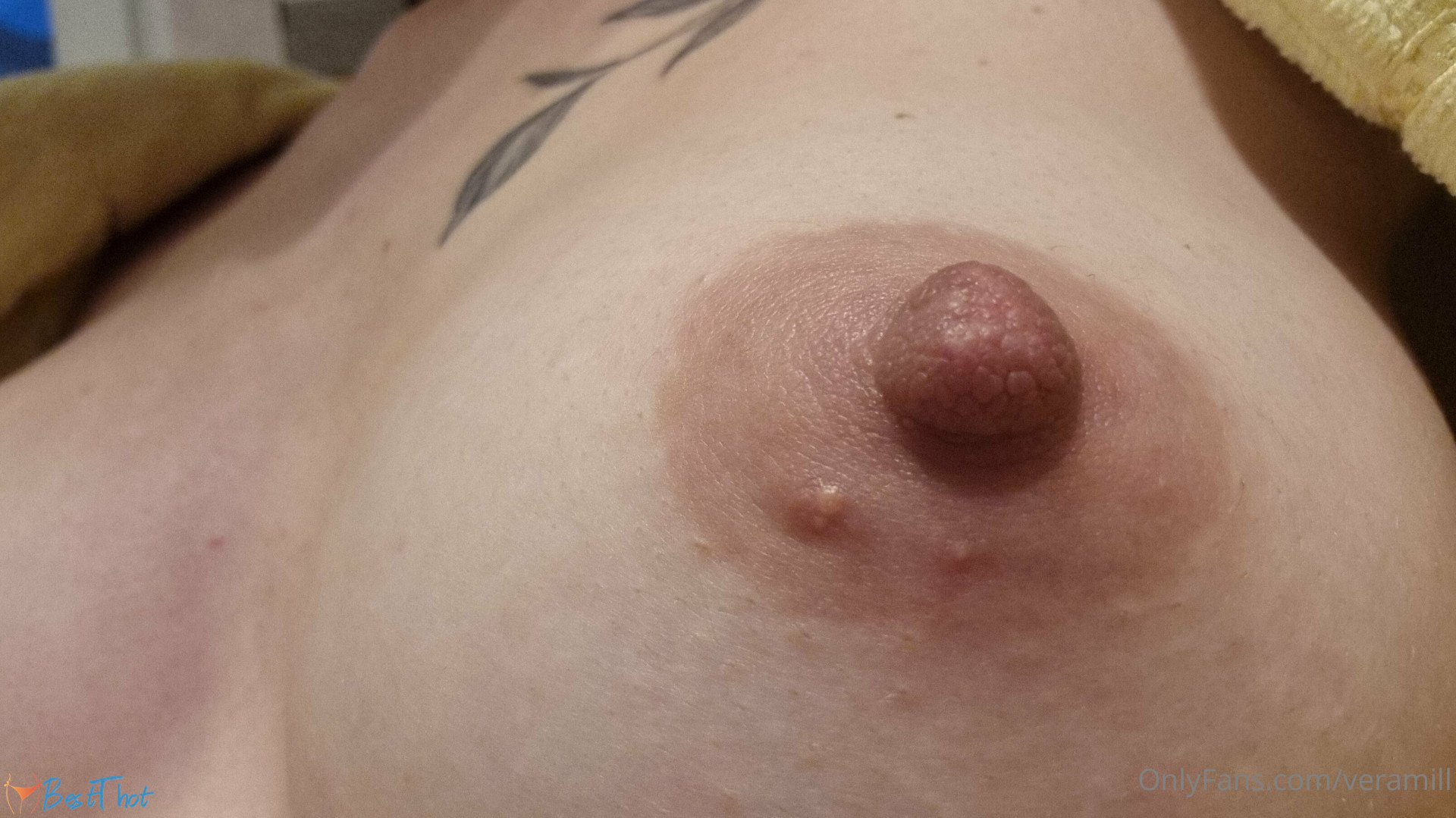 Photo by veramill published on January 24,2025 05:01:30 - BestThots