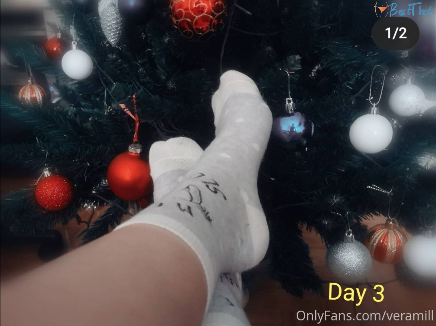 Photo by veramill published on January 25,2025 05:01:41 - BestThots