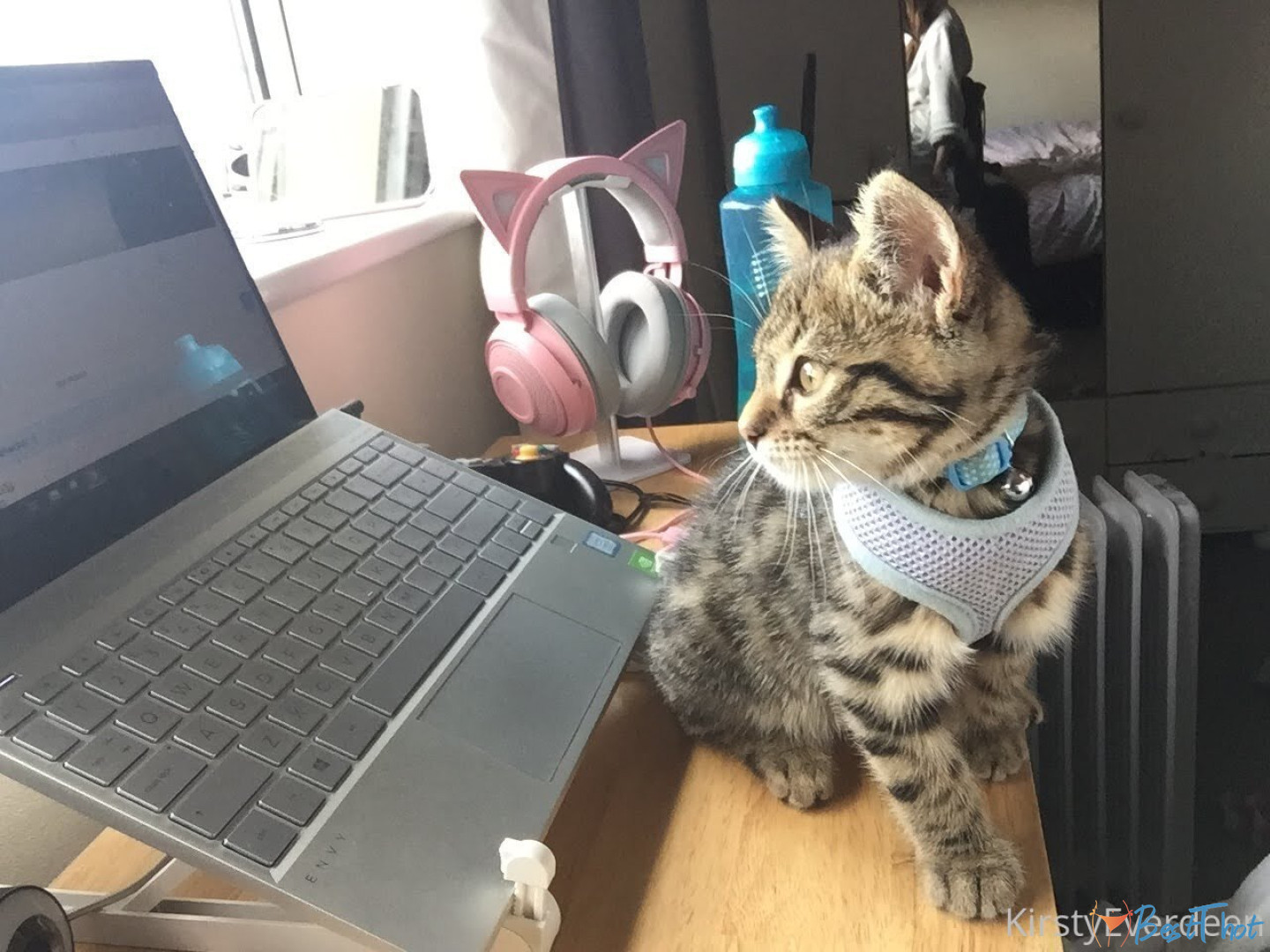 Photo by kirstyeverdeen published on January 25,2025 06:02:33 - BestThots