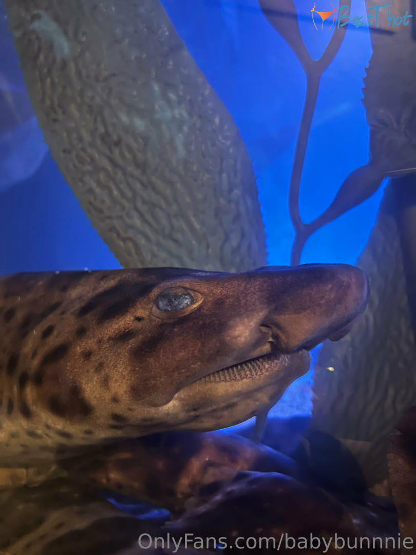 Photo by babybunnnie published on January 24,2025 20:02:11 - BestThots