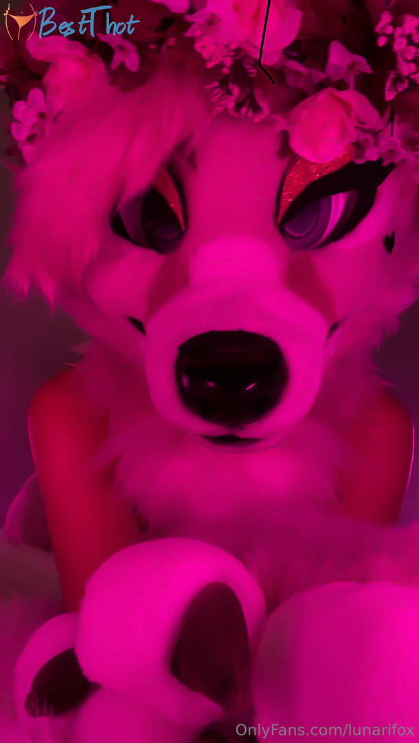 Photo by lunarifox published on January 25,2025 01:02:56 - BestThots