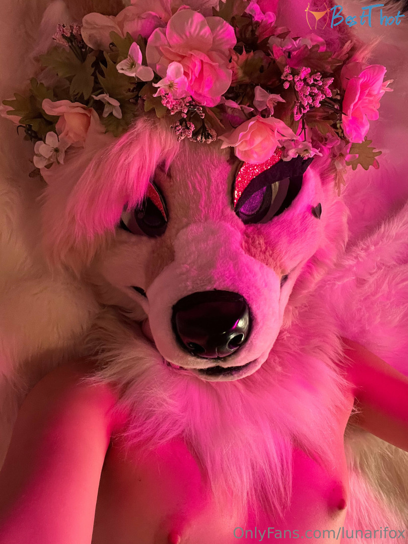 Photo by lunarifox published on January 25,2025 02:00:41 - BestThots