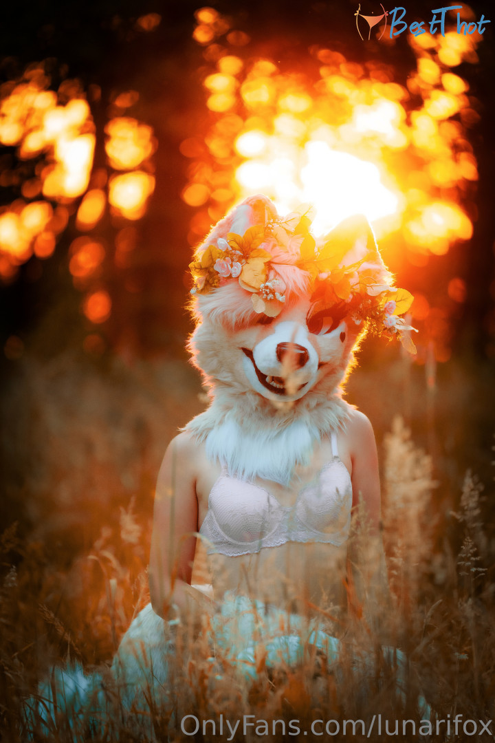 Photo by lunarifox published on January 25,2025 04:01:56 - BestThots