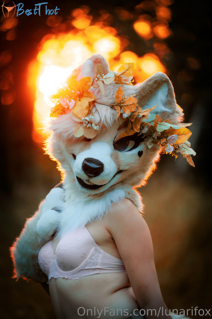 Photo by lunarifox published on January 25,2025 04:02:12 - BestThots