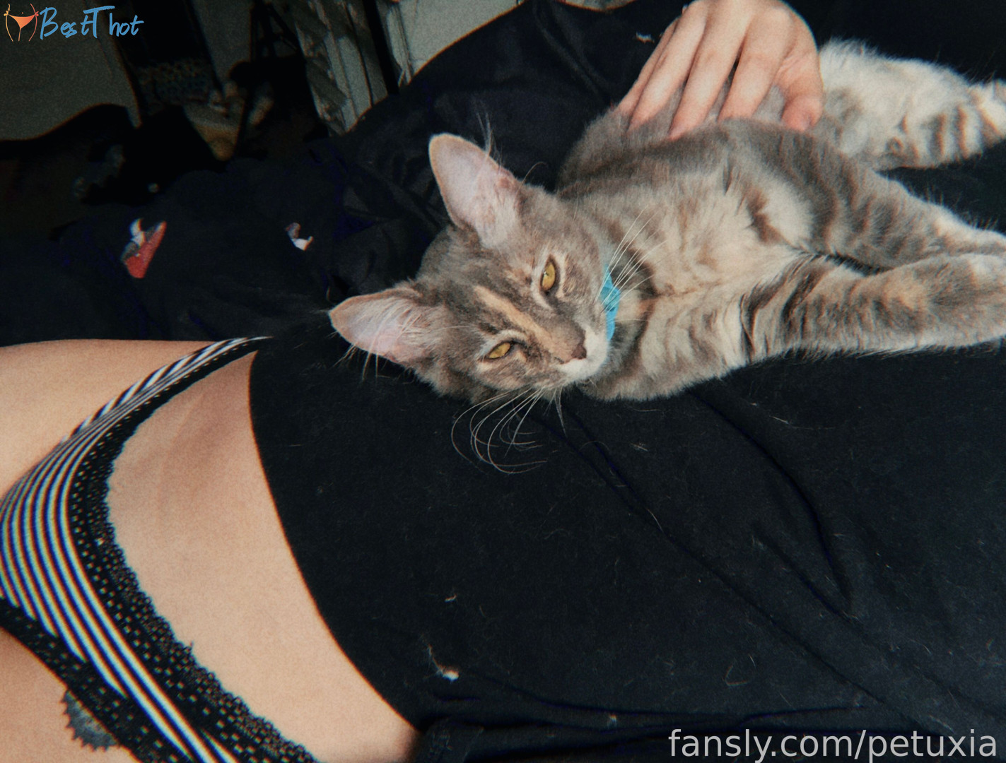 Photo by petuxia published on January 26,2025 03:00:36 - BestThots