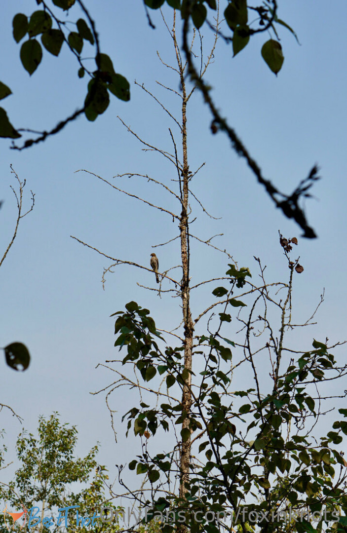 Photo by caprice-de-lune published on January 25,2025 18:02:29 - BestThots